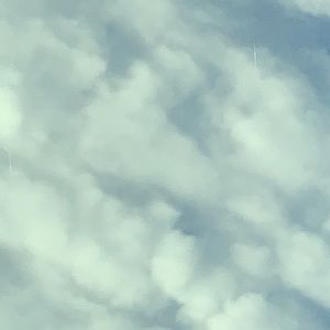 Meet your Posher, Kameron